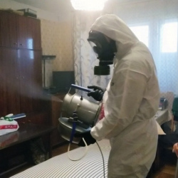 Дезинфекция от клопов в Рошале