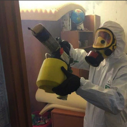 Уничтожение клопов в квартире. Рошаль